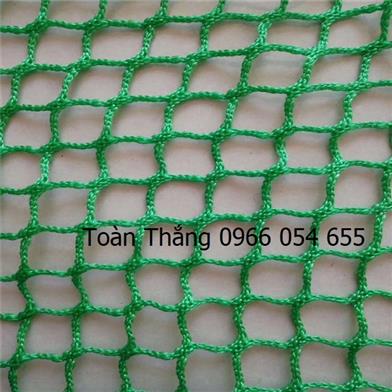 Lưới an toàn Hàn Quốc